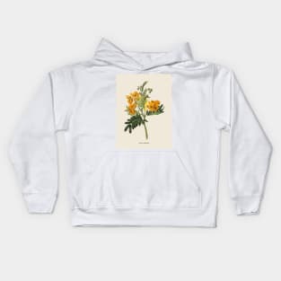 Wildflower Antique Botanical Illustration Kids Hoodie